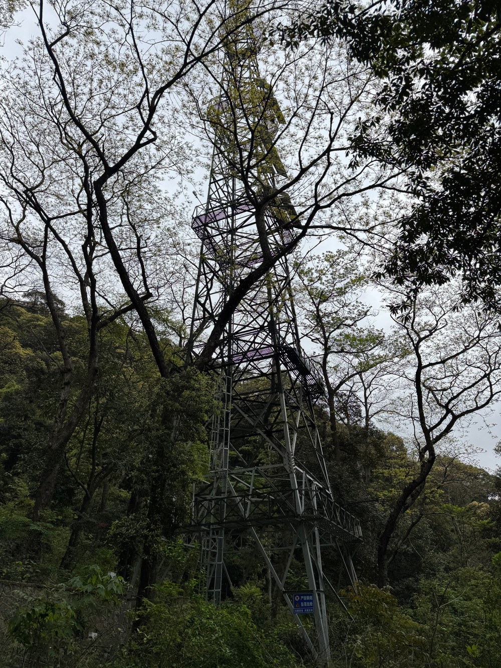 浙江天童森林生態系国家野外科学観測研究ステーション（TINAS）のフラックス観測タワー